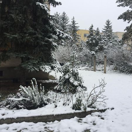 Next To University Debrecen Exterior foto